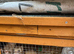 MALE FERRETS