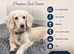 Quality Stud dogs available