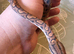 Male Rainbow Boa