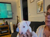 Chunky white bullie boy