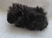 2 Lunkarya Sows