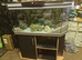 4ft fishtank and stand