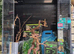 Birthday Week-end Surprise - Full PVC Setup + Leachianus Giant Gecko