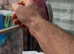 Galah cockatoo parrot for sale