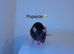 Beautiful mixed gender baby rats
