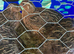 Male quail