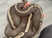 GHI yellow belly ball python