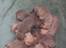 Staffy puppies