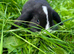 ready to reserve , ready to leave 11th July 1 girls 3 boys