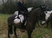 Pony club pony