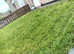 AJ Fencing & Groundworks