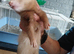 Baby ferrets READY TO GO