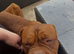 Kc Dogue de Bordeaux (male)