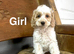 Rain beautiful boys and girl looking for a home