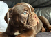 Old English female last one