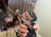 Full bred working cocker spaniels