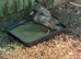 Pair of Kharki Campbells