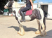Lovely little pony for somone