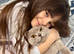 British shorthair ( blue )