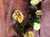 Silkie chicks