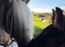 Filly part bred cob