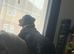 Gorgeous 5year old Rottweiler