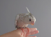 Hand reared silly tame DNA sexed baby cockatiels