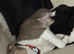 Looking for forever home