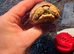 2 leopard tortoises & full set up