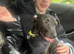 Patterdale