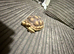 sulcata tortoises