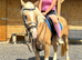 Golden lady mare pony