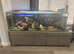 6ft aquarium full set up but no stand