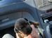 Patterdale lakeland terrier