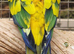 AMAZONS/PARROTS/PARAKEETS AVAILABLE