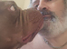 Pocket Bully available for stud