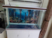 300l aquarium tank setup