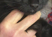 Beautiful Russian black X boy 3 M.,O affectionate