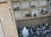 Stock racing pigeons