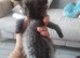 Fluffy siberian kittens