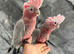 Friendly Baby Handreared Super Tame Cuddly Galah Cockatoo Parrot,12