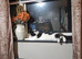 2 female cats maple and mochi