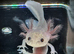 Axolotl babies
