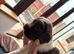 English springer spaniel