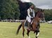 Hackney Gelding – Ride & Drive – 15’3