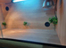 Vivarium LARGE 4ft x2ft x2ft with electrics