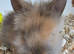 Netherland dwarf and lion head kits
