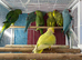 Indian Ringneck parrot