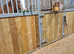 Livery Yard based in Caerphilly county