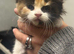 4 fur baby’s looking for there new homes